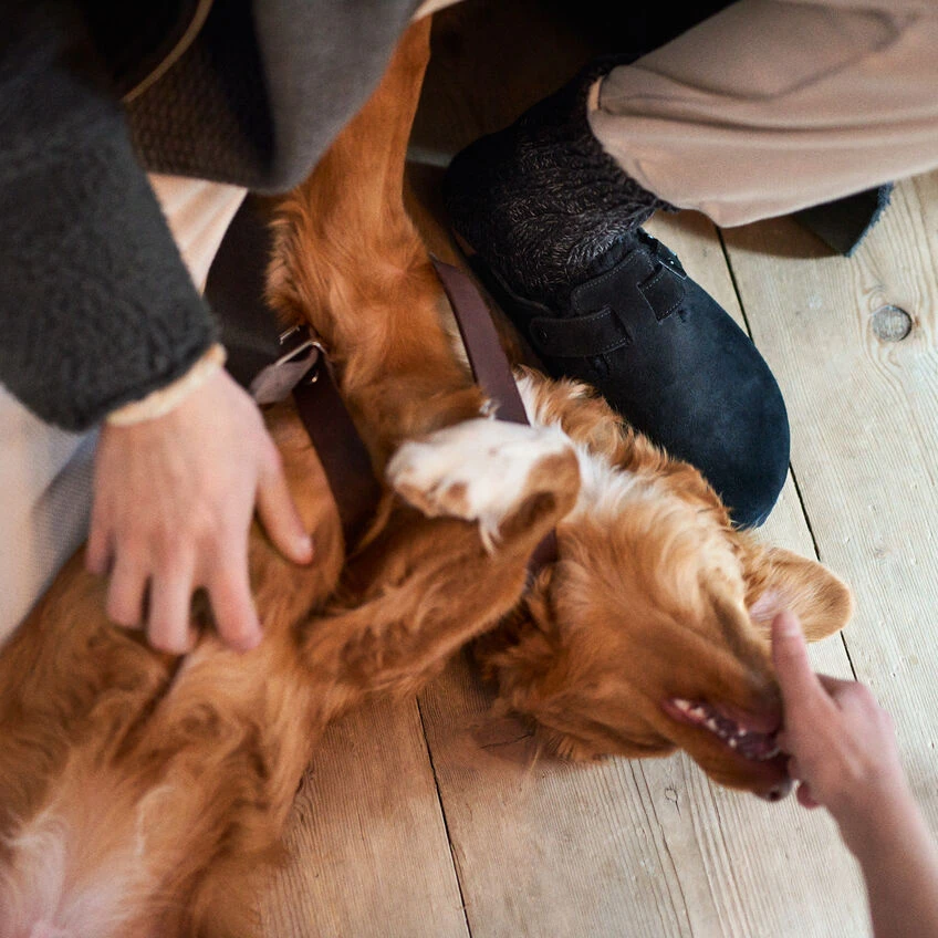Outlet โจ Birkenstock Boston Suede Leather Black ๐ 11 Outlet โจ Birkenstock Boston Suede Leather Black ๐ - Image 11